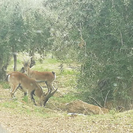 Apartamento Sendero De Las Acequias Mecina Bombaron